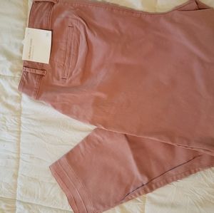 NWT Loft Plus girlfriend chino pants